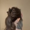 Retro Velvet Multi-Layer Bow Hair Claw
